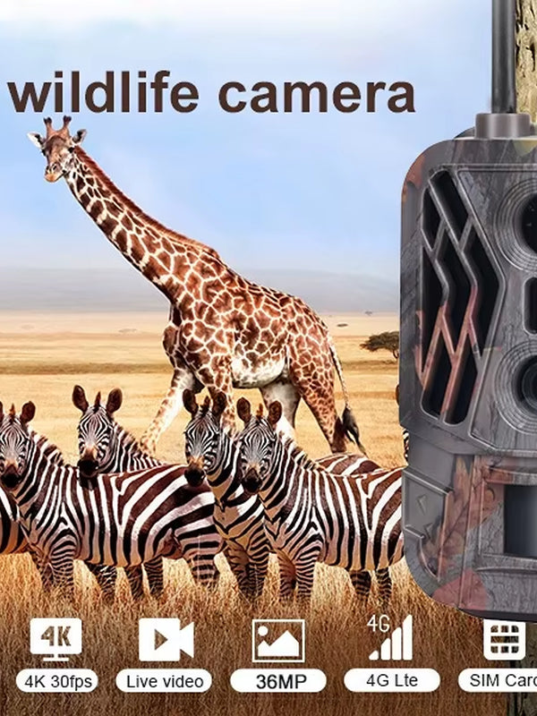 4G Tracking Camera 4K APP Control Cloud Service 8000Mah Lithium-Battery Hunting Camera Cam Dual Lens Detection Wildlife Came