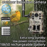 ForestVision A9 4G LTE Solar Trail Camera – Night Vision, Motion Activated, Camouflage for Hunting & Wildlife Monitoring