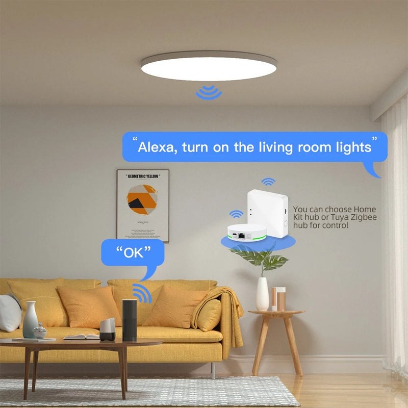 Zemismart Tuya Zigbee 24W Smart LED Ceiling Light RGBCW Dimmable Bathroom Lamp, Alexa & Google Home Compatible, Surface Mounting for Homekit